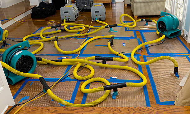 Professional Crawl Space Water Removal technician working in Spring City, UT